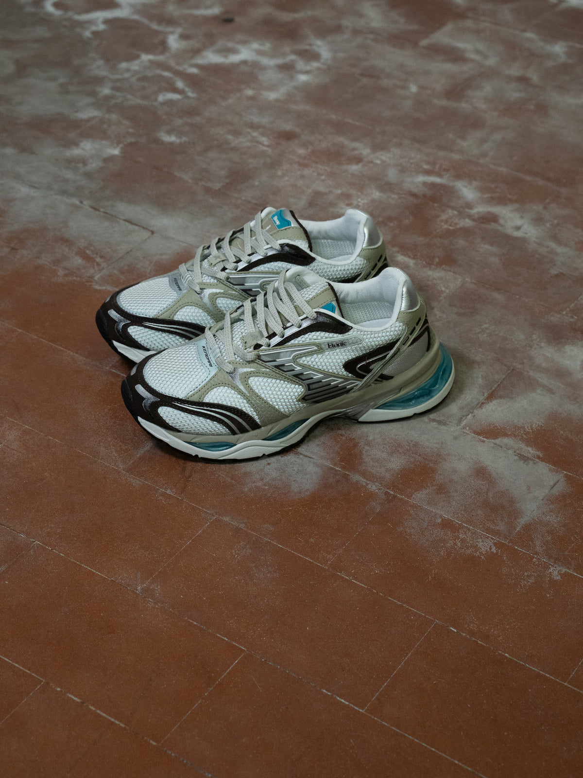 TURTLE SNEAKER